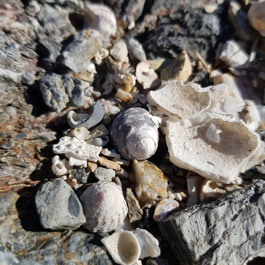 20190525_123751.jpg by Elizabeth Fitzgerald on 500px.com