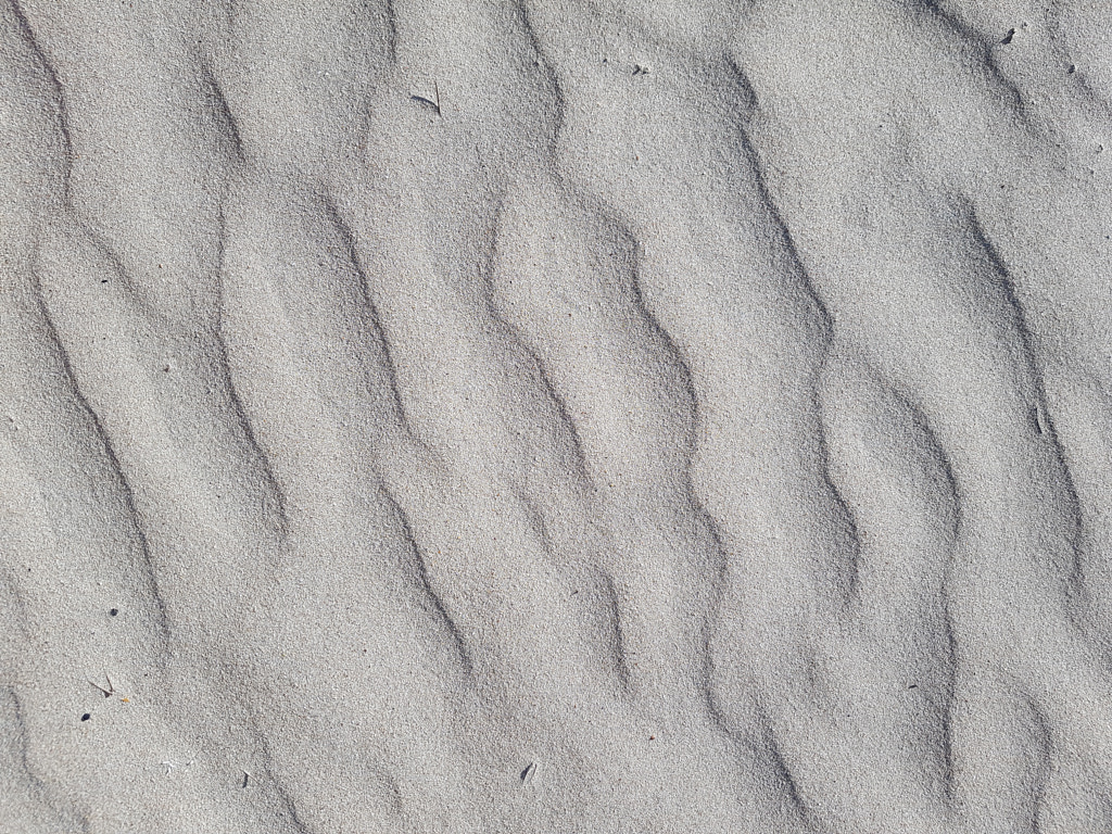 Sand Ripples by Elizabeth Fitzgerald on 500px.com