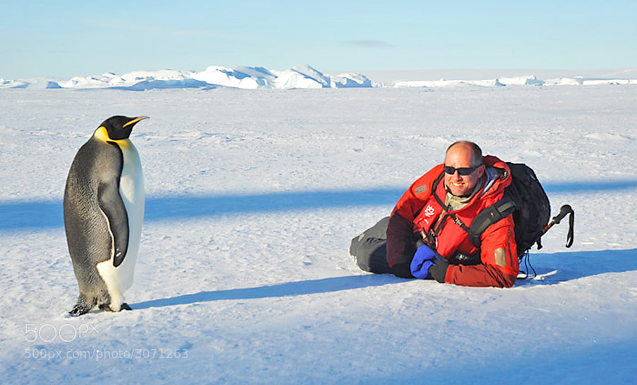 Me with one of my penguin buddies/models in Antarctica.