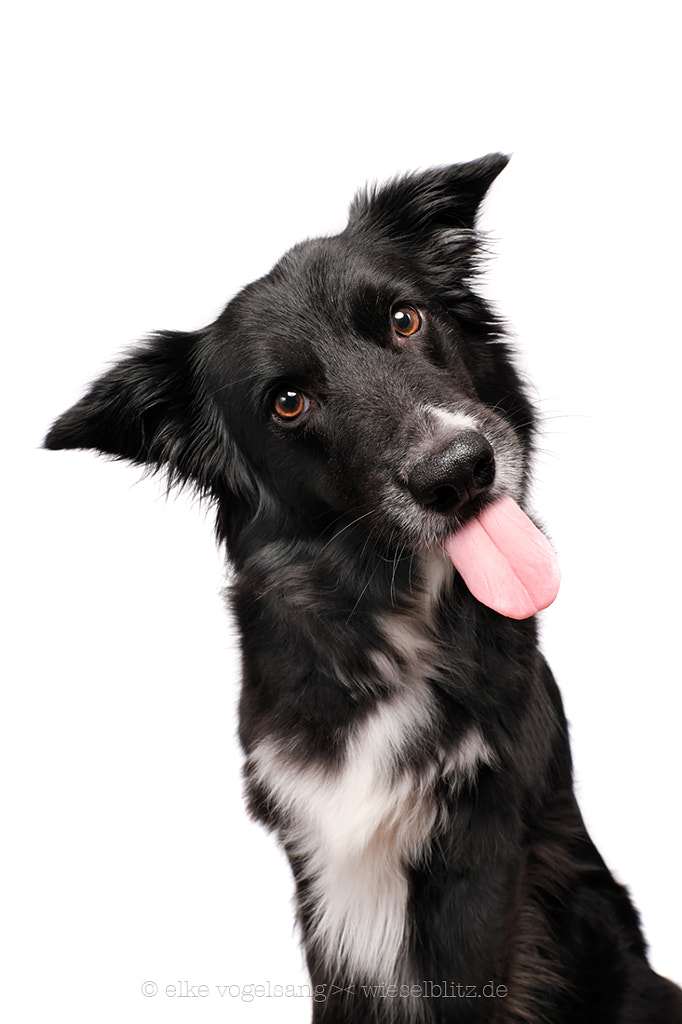 Tongue-out Tuesday with Amy by Elke Vogelsang on 500px.com