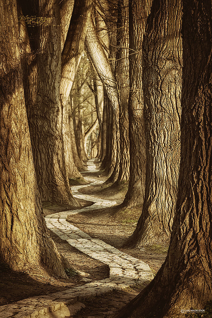 Winding Path by Lars van de Goor on 500px.com