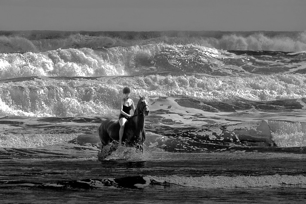 From the sea she came by Edwin Leung on 500px.com