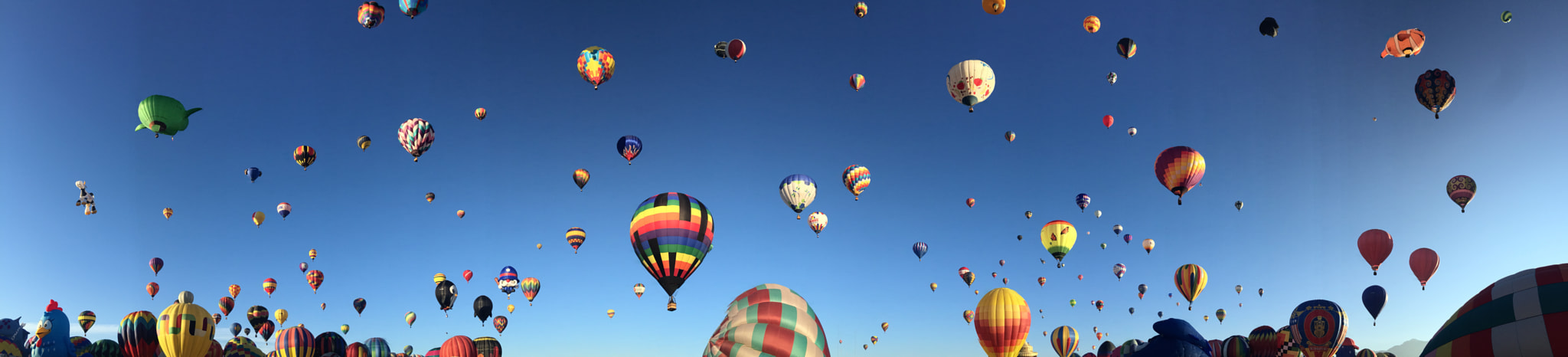 Hot Air Balloon Fiesta