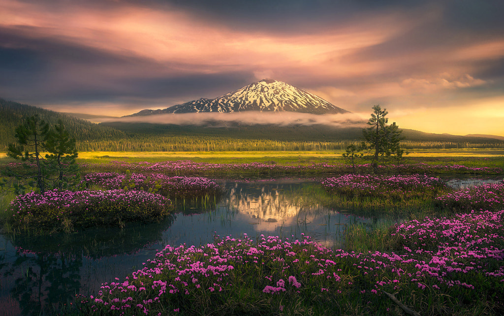 maphoto adamus marcadamus from500px