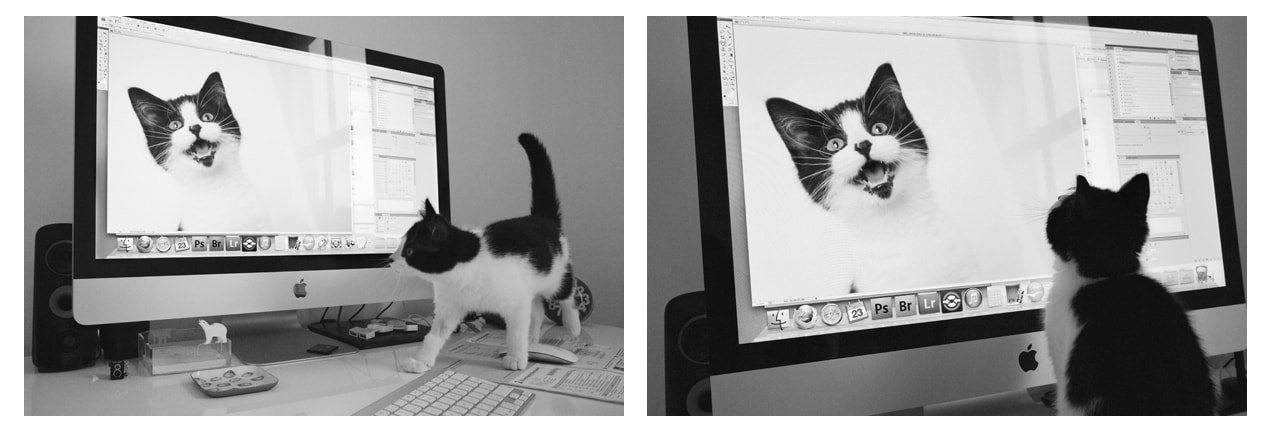 v2?sig=a587d5630cc1de0704b87e3aba2db8623accb1fecb549b7c6f4768151eae6a9b