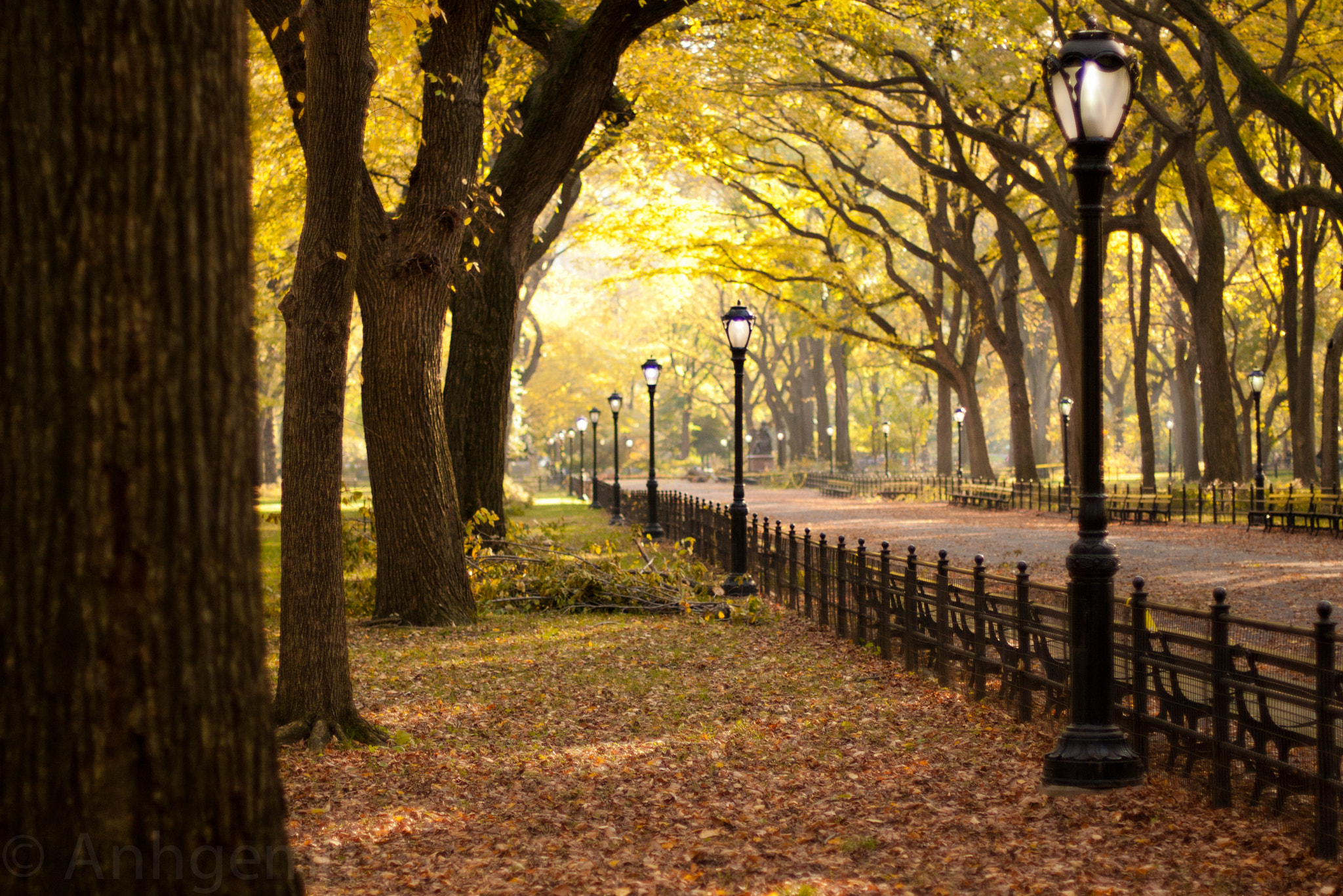 Осень в Нью-Йорке Центральный парк с лавкой