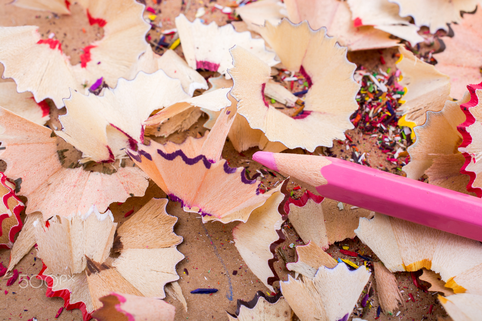 Pink Pencil over   pencil shavings