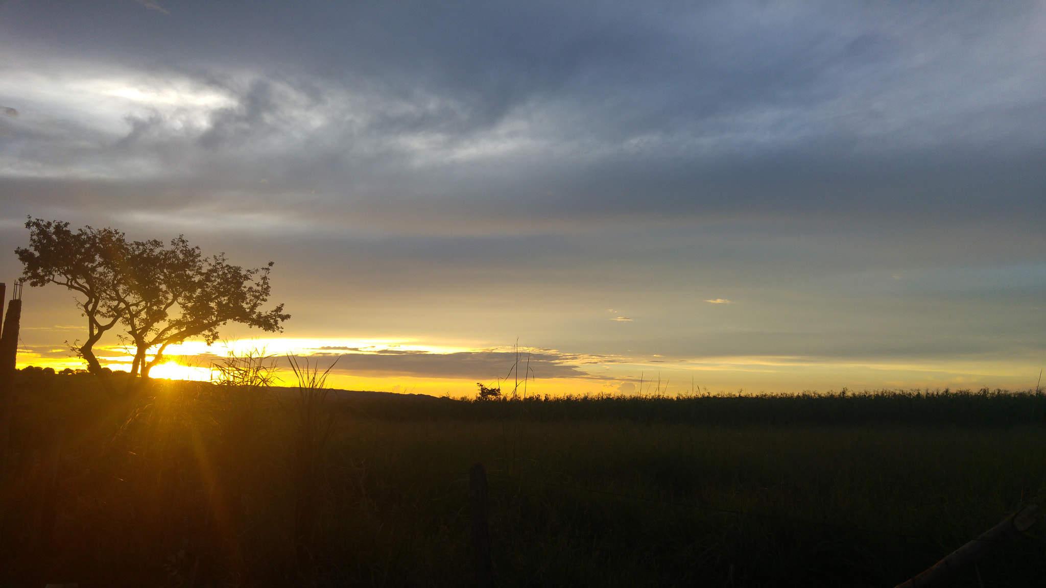 Entardecer no Cerrado.