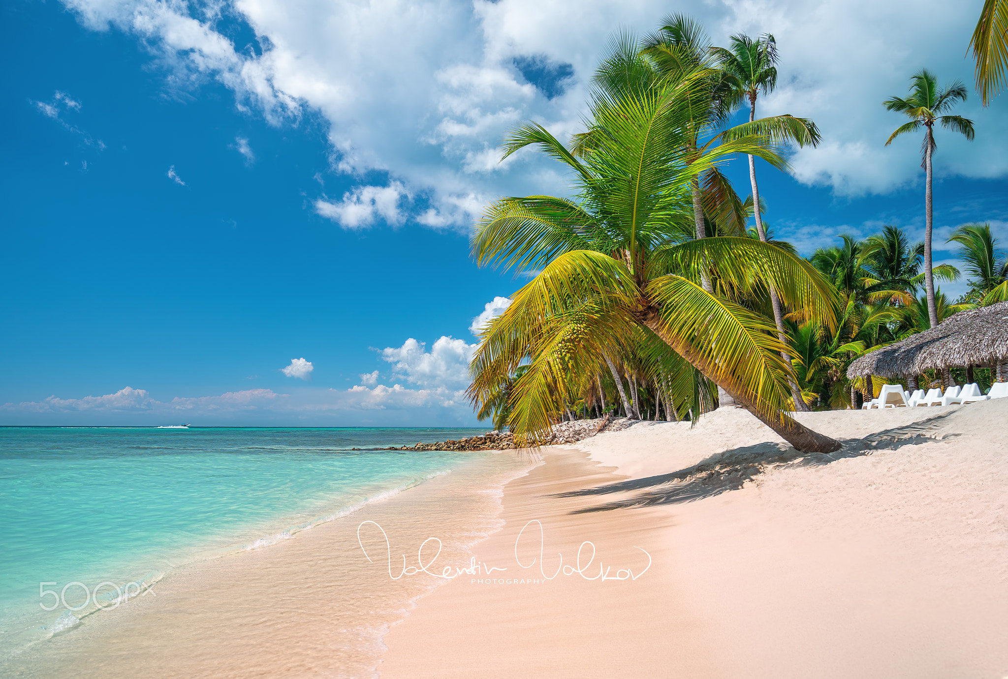 Tropical caribbean island Saona, Dominican Republic. Beautiful b