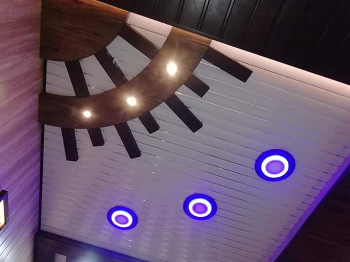 pvc ceiling