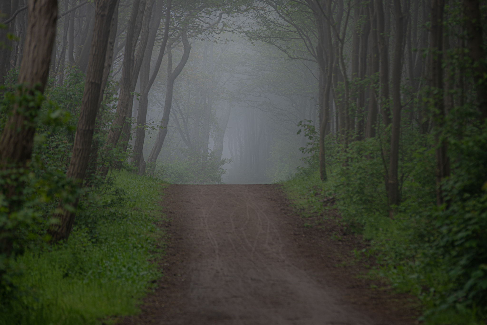 Mystisch auf Poel...