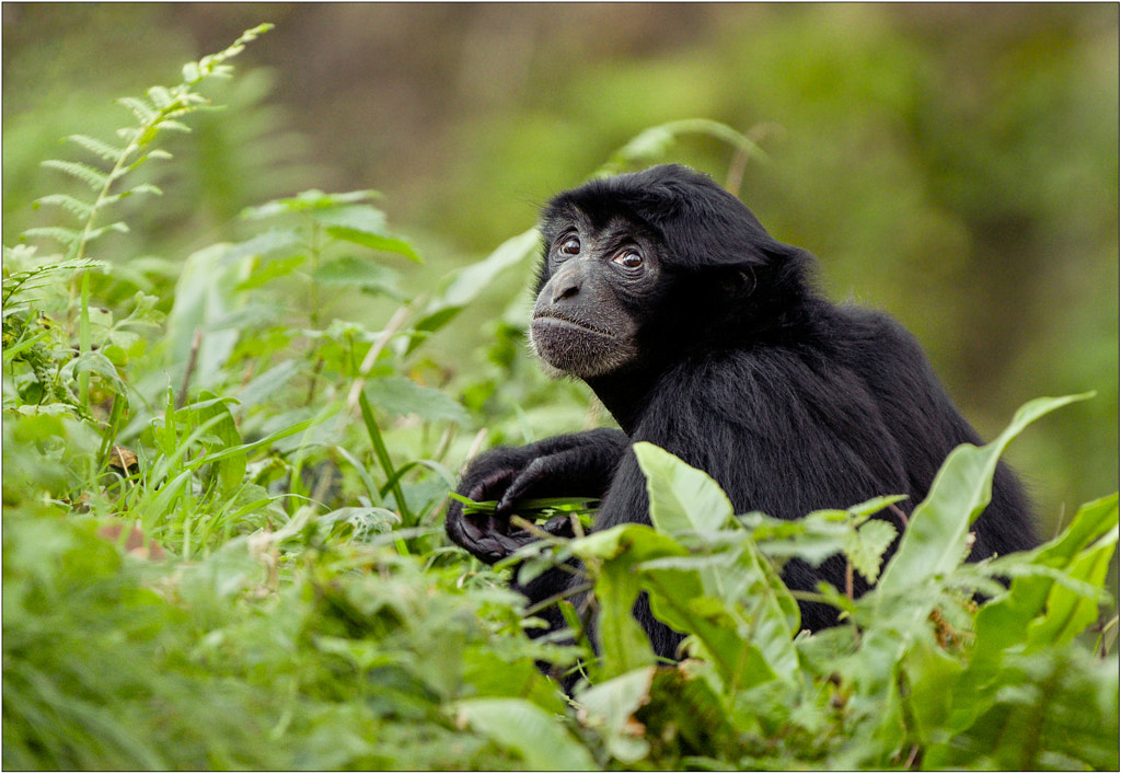 Geoffrey Baker (GeoffreyBaker) Photos / 500px