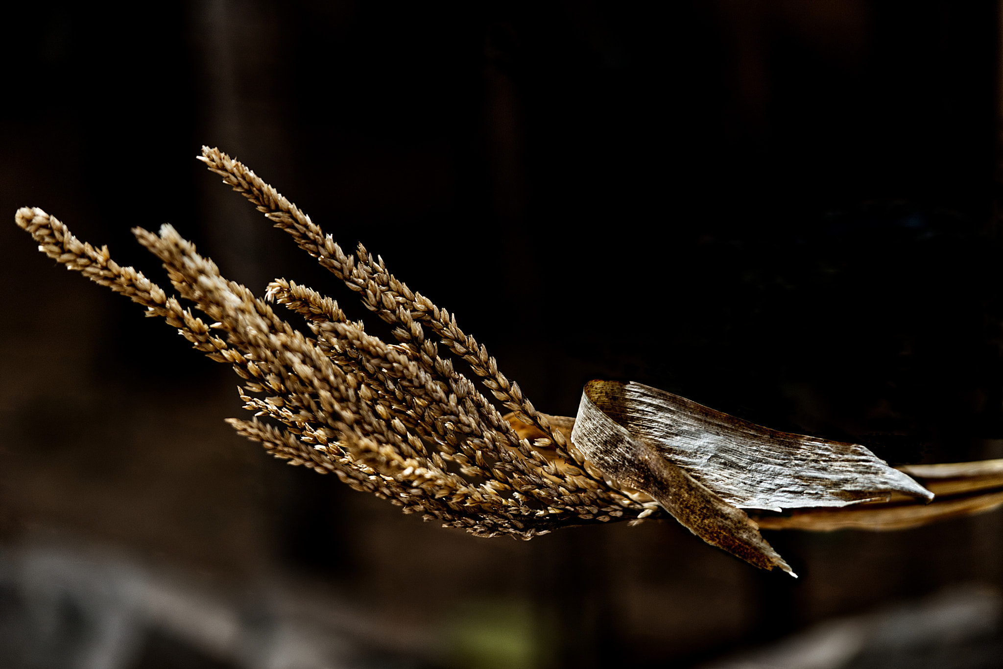 Food drying up