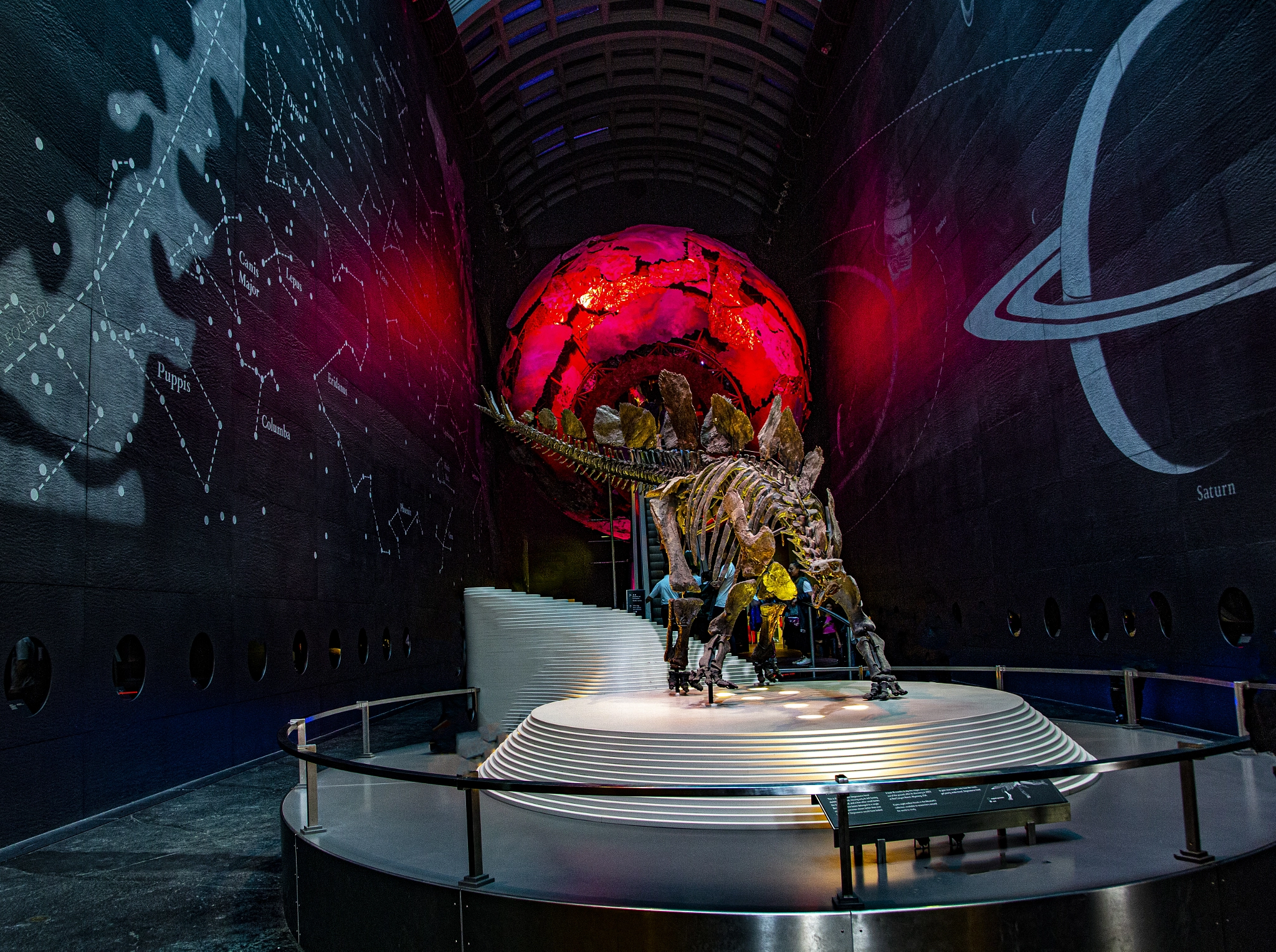 The Natural History Museum