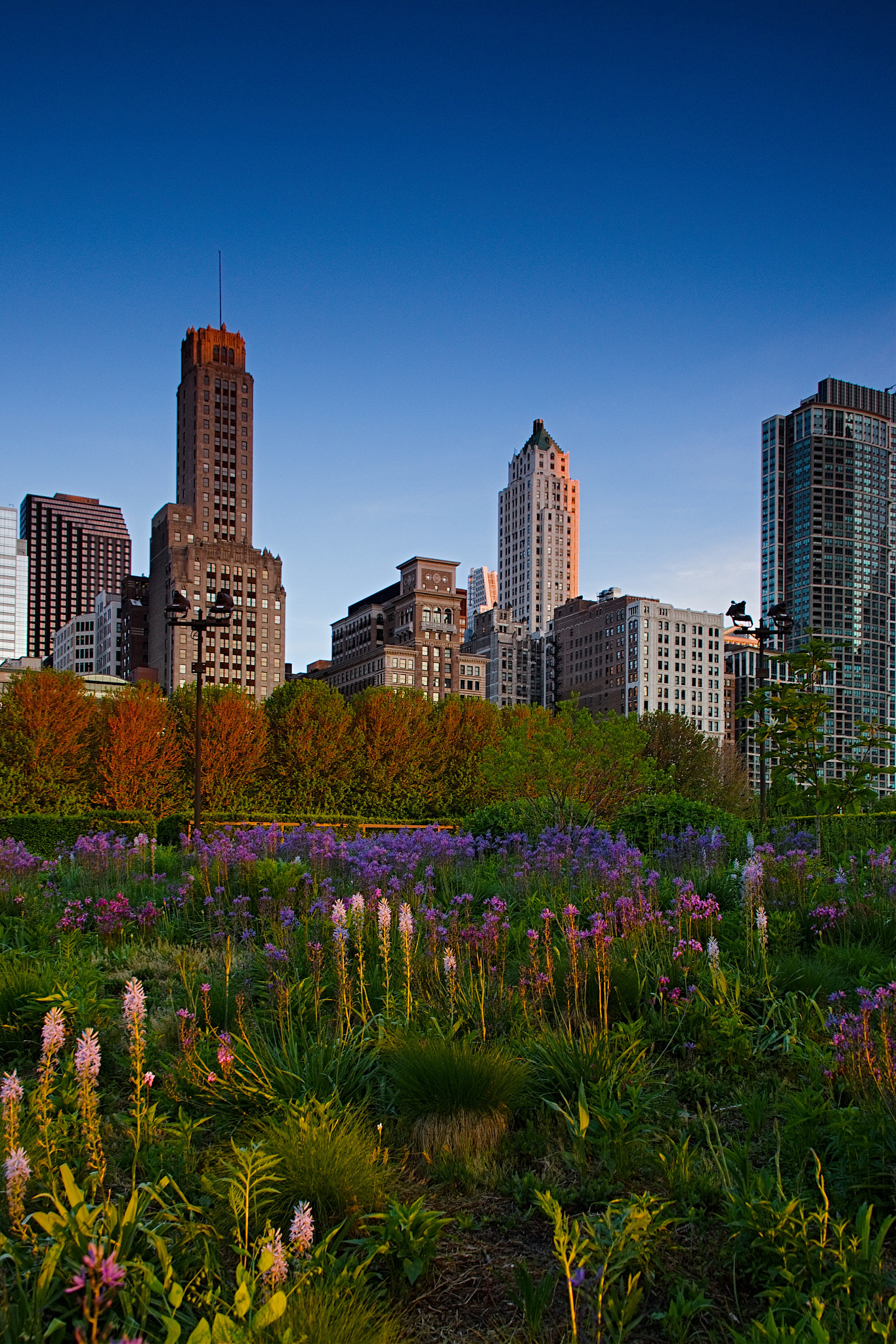 City Garden