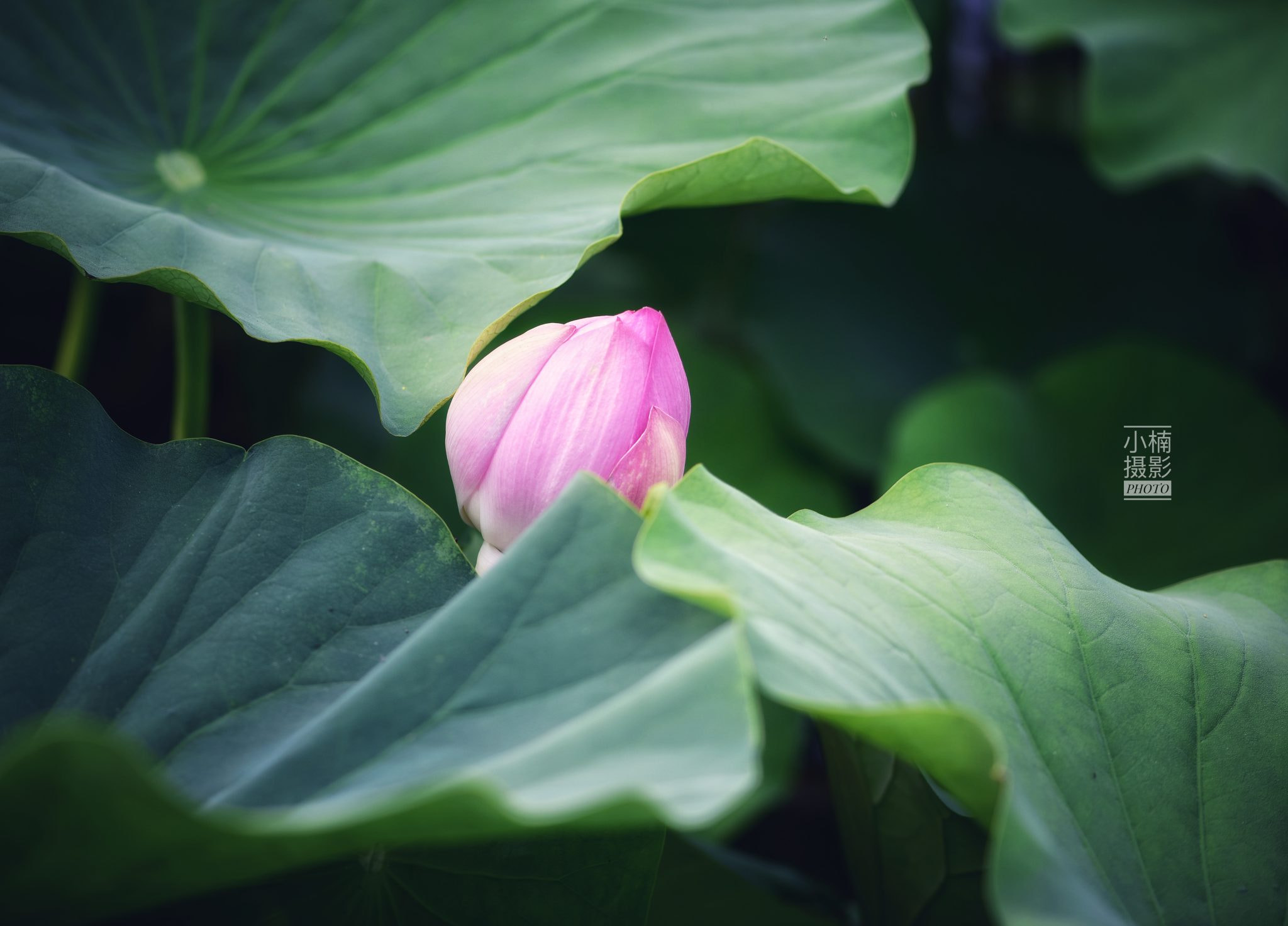 v2?sig=4811ccfad763565f9a3648fe0c1af3cdd1f30db700a3dc4ee5eb1c908c6145ae