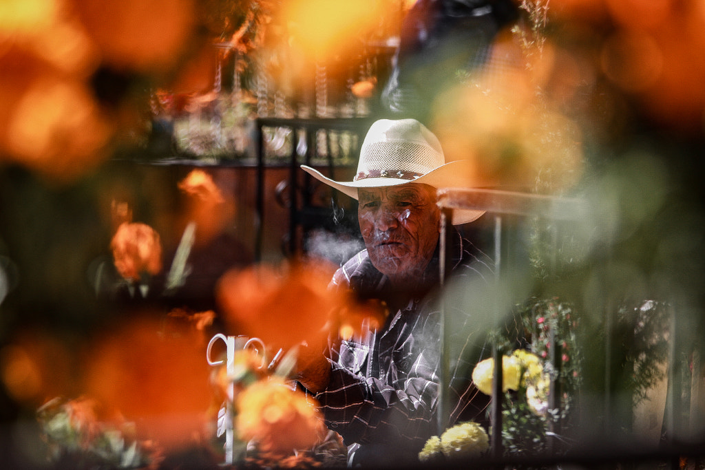 Cempasúchil by Fernando Díaz on 500px.com