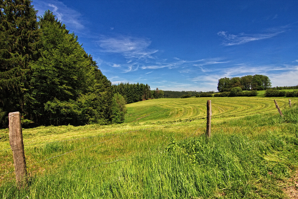 The meadow is mown by Detlef Thiemann / 500px