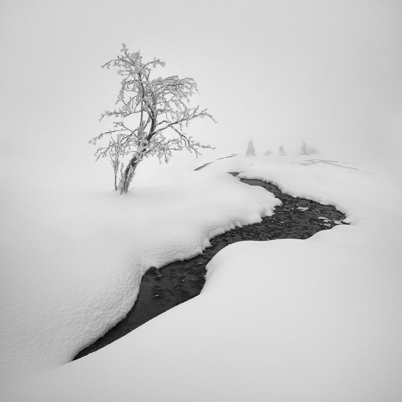 On the bank of the creek by Daniel ?e?icha on 500px.com