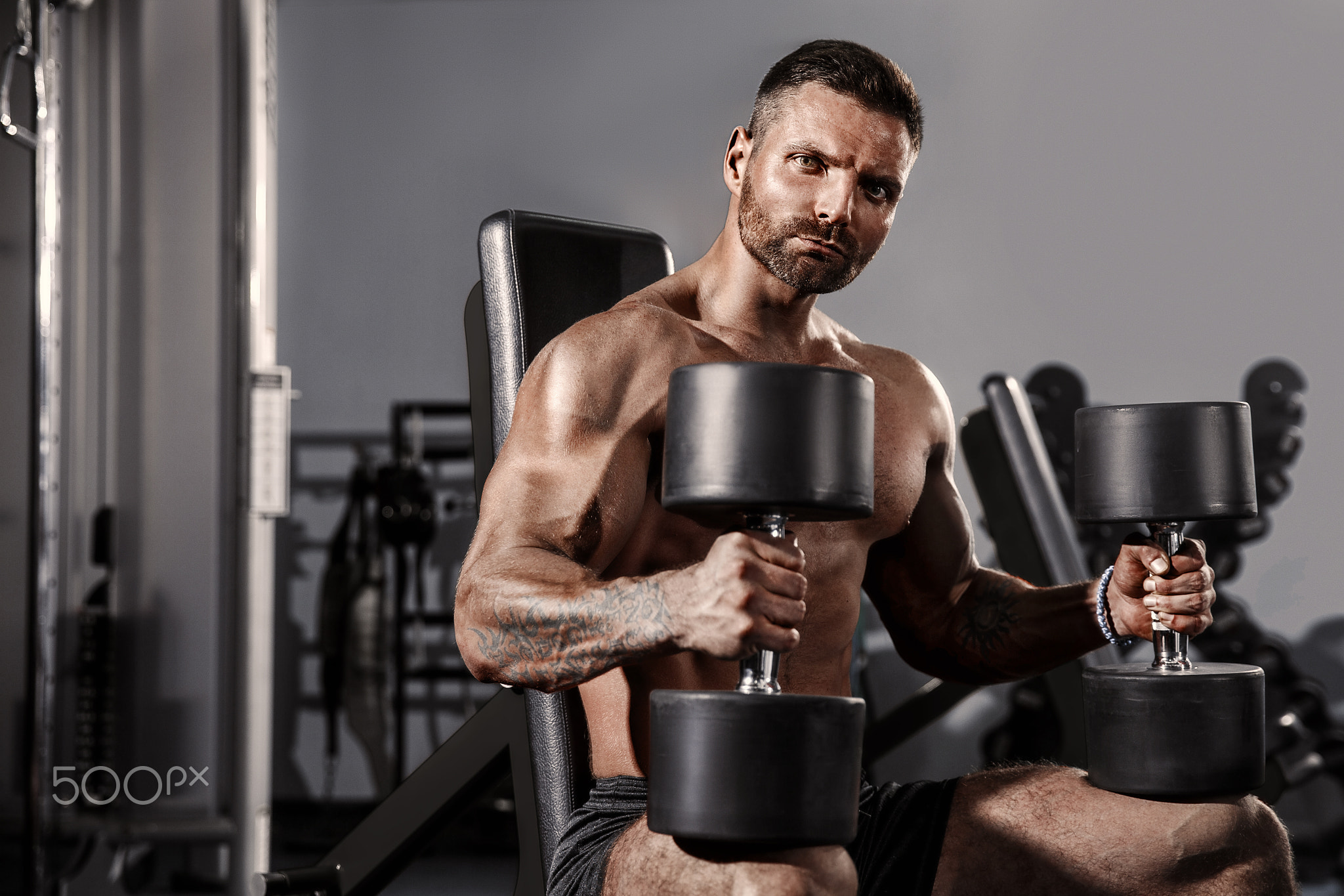 Handsome man with big muscles, posing at the camera in the gym