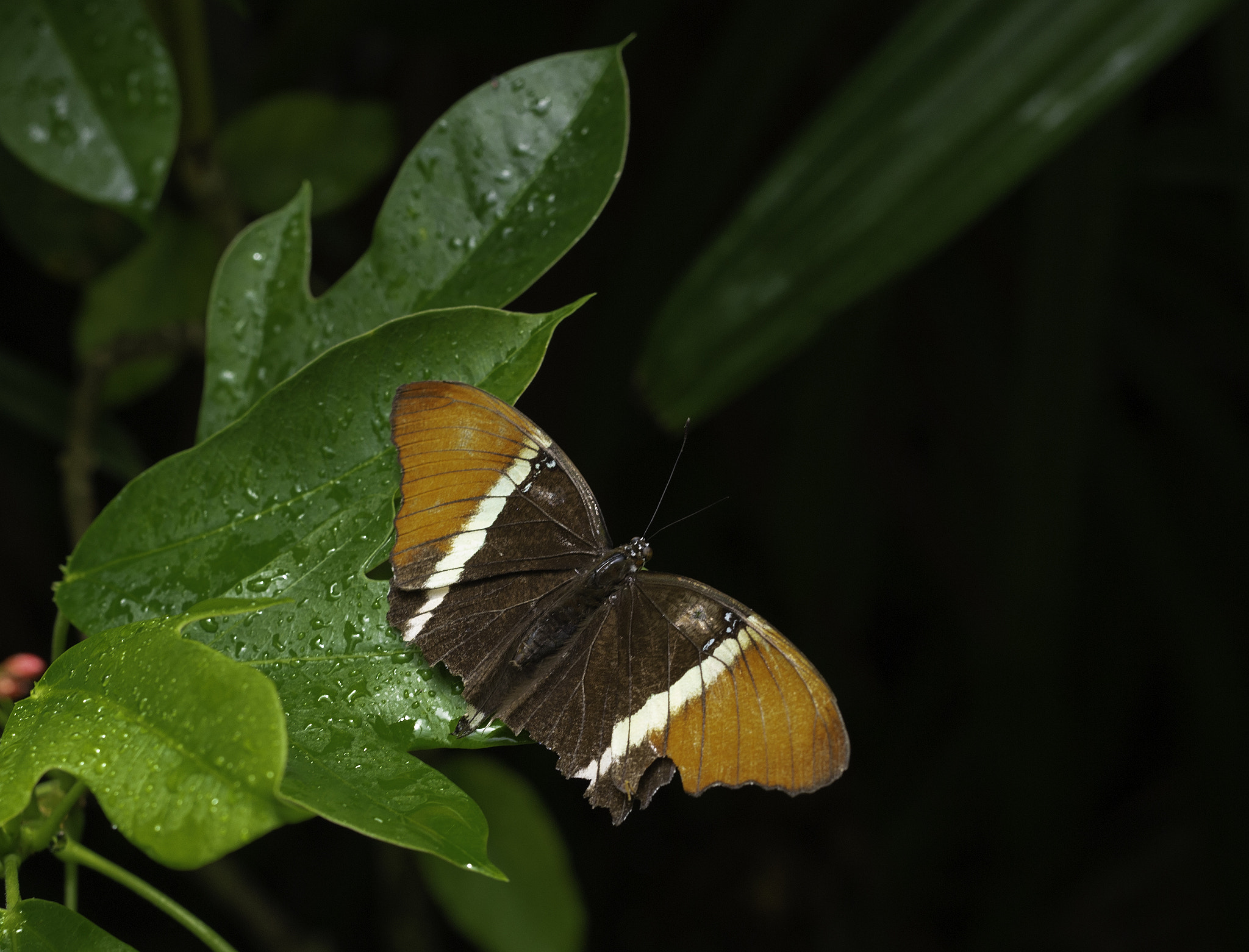 v2?sig=26f6865f2a82f74177008e29e8e11cb0eda81f95c09bf6517bd601f0dd6651cb