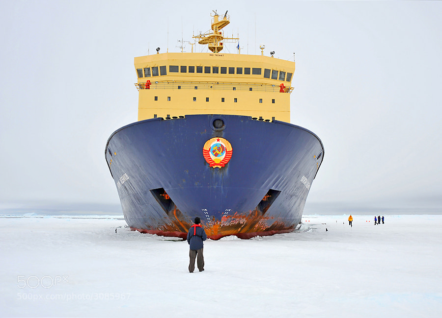 Just getting there can be interesting. This is the Russian icebreaker Kapitan Khlebnikov (Hlebnikov)  parked in the ice in the Weddell Sea, Antarctica