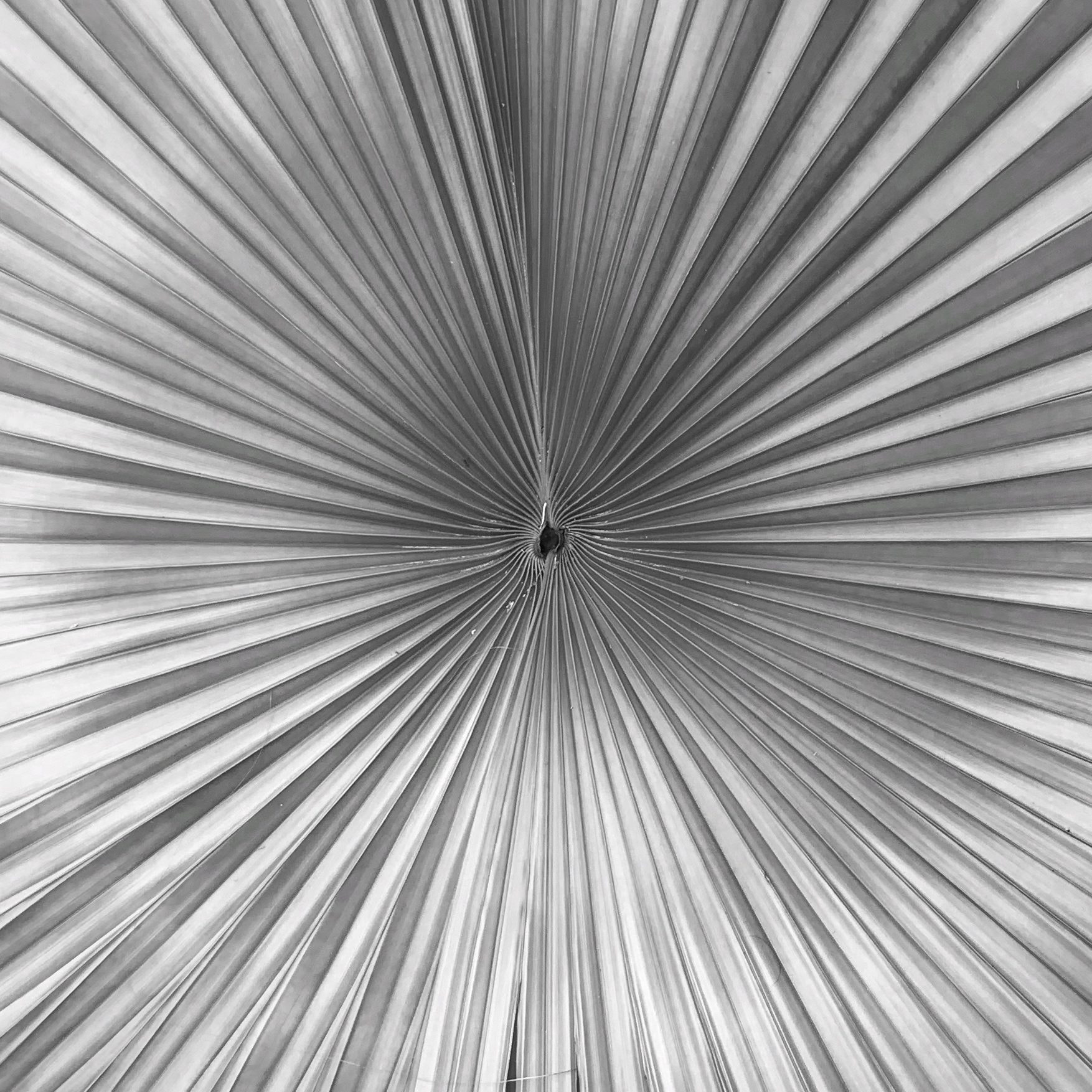 v2?sig=325014bbe544d8c13607e8b8fc7f2d9a2b547bad6ed8eb930dc63bd09766d5f5