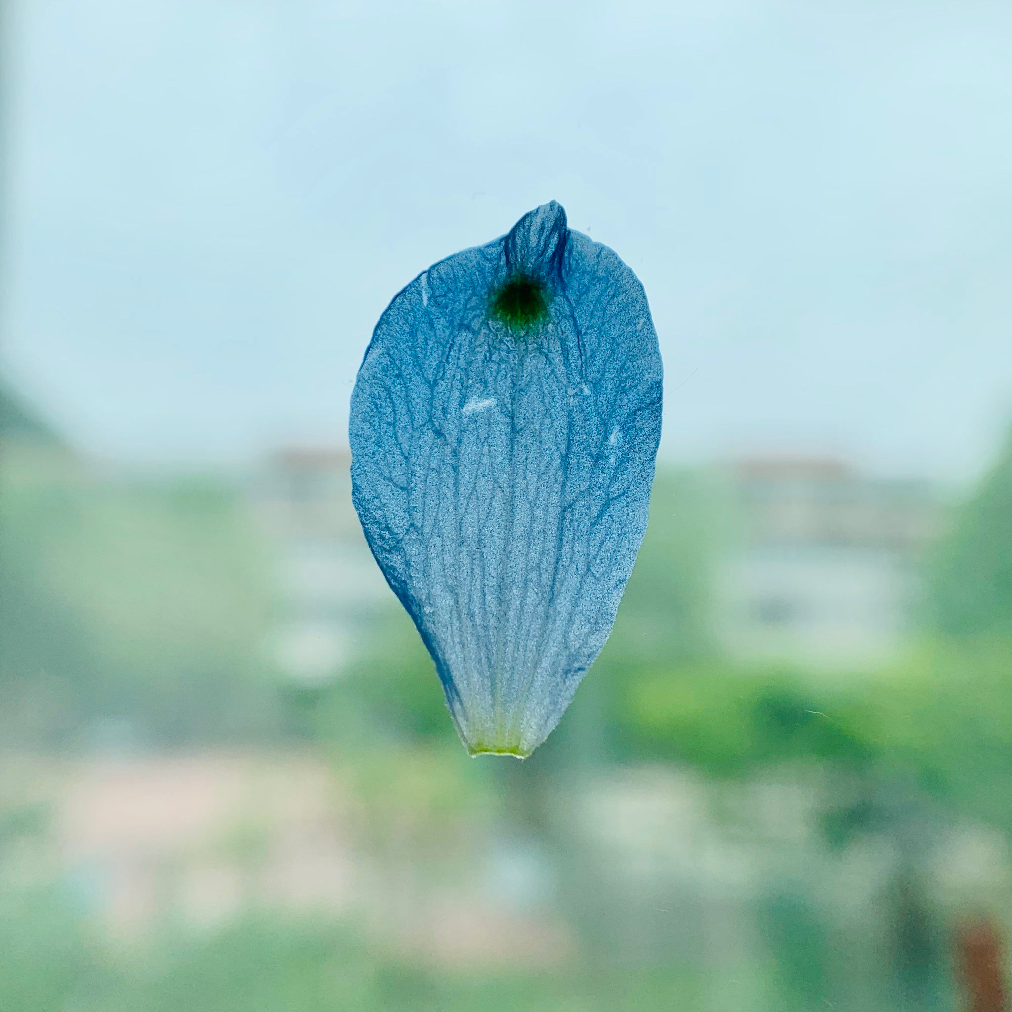 v2?sig=12dc50a75b8375d211dd076ad3f6771dbe4e23905edcd9717054d519b6c0dc2d