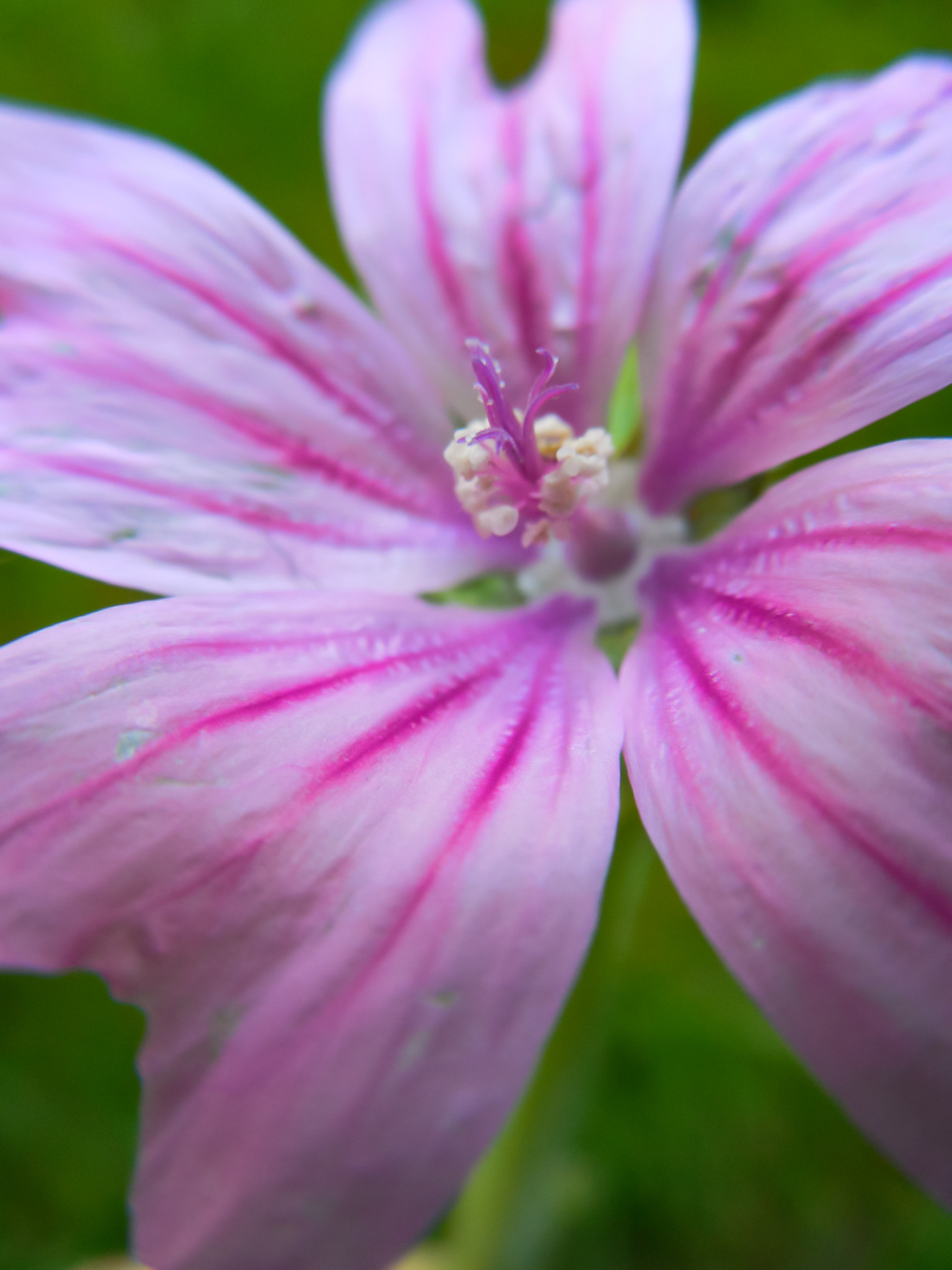 v2?sig=113d339701ef05f0f9d19706eb126a1ac9c57a9001899a992af1c1244d6262ec