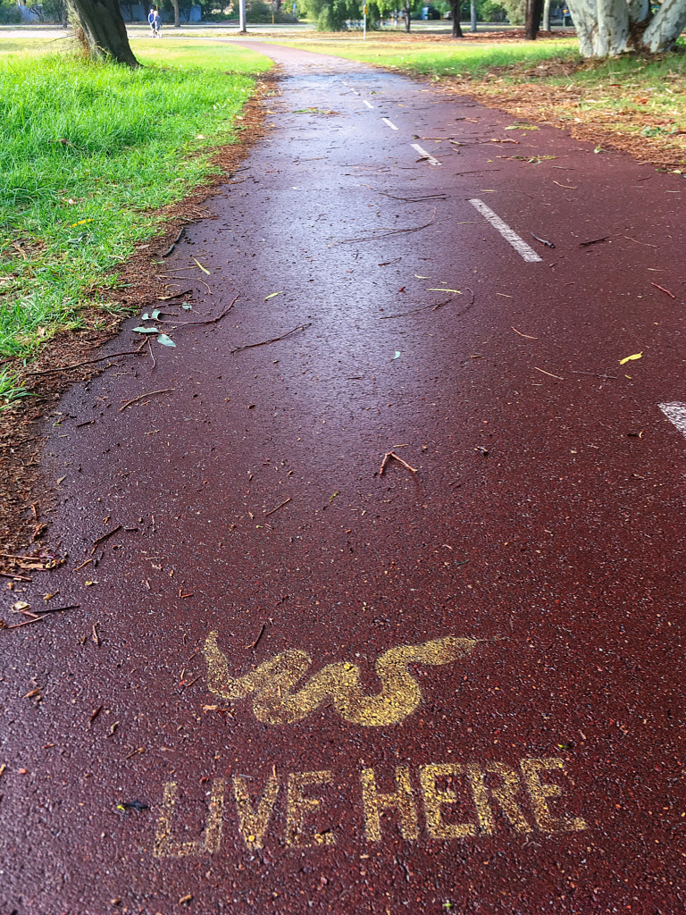 Live Here by Paul Amyes on 500px.com