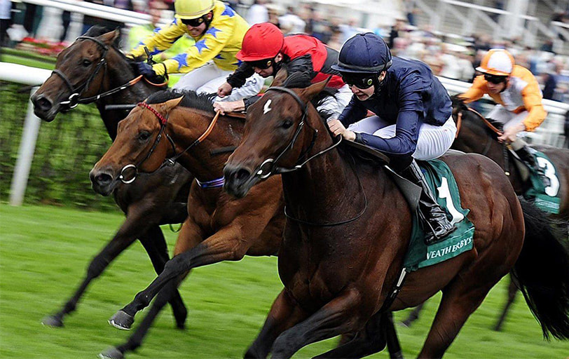 Online Horse Racing Betting Sites in UK