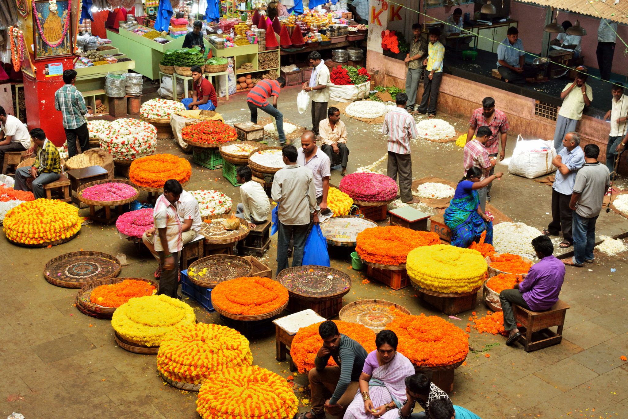 v2?sig=4a48509a9cff38871a56be8483ce98a884f86c699028539bab91b7eba16eae51