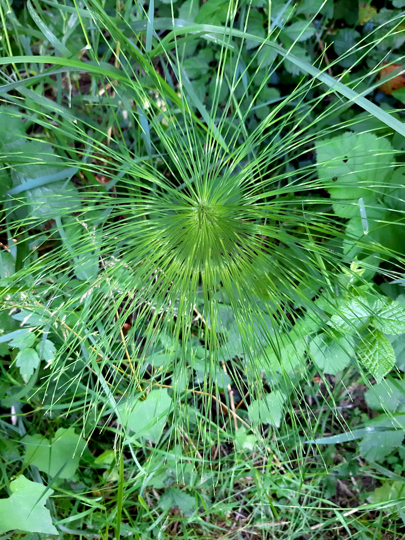 v2?sig=f0ad55cc27a8c526a2a86411b7e111f71dd13da7aadfe1ec761f6abbbaff9b3c