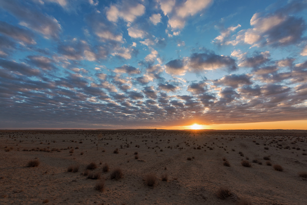 Karakum Desert by David G on 500px.com