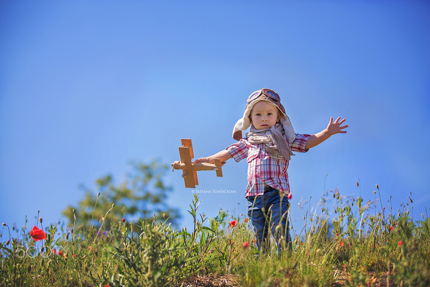 Beautiful toddler baby boy, child playing with airplane in poppy