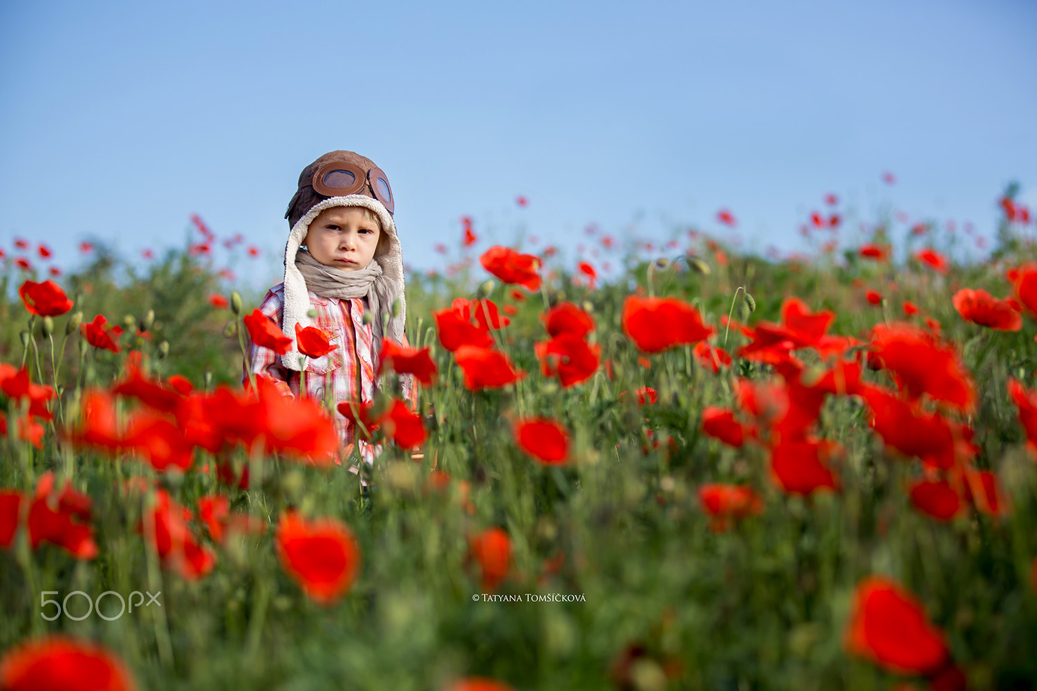 Sweet toddler baby boy, child playing with airplane in poppy fie