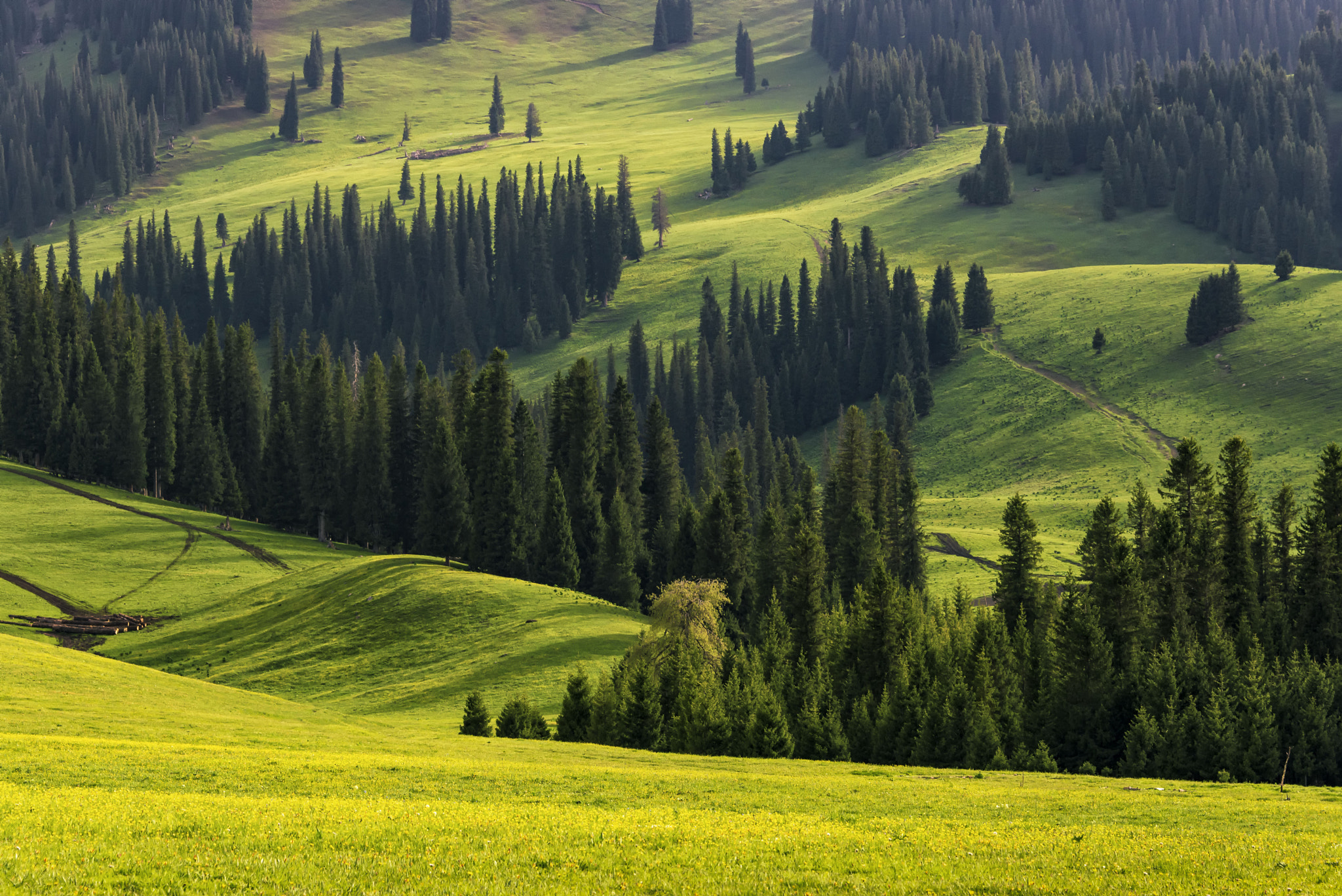 那拉提 Narati Grassland