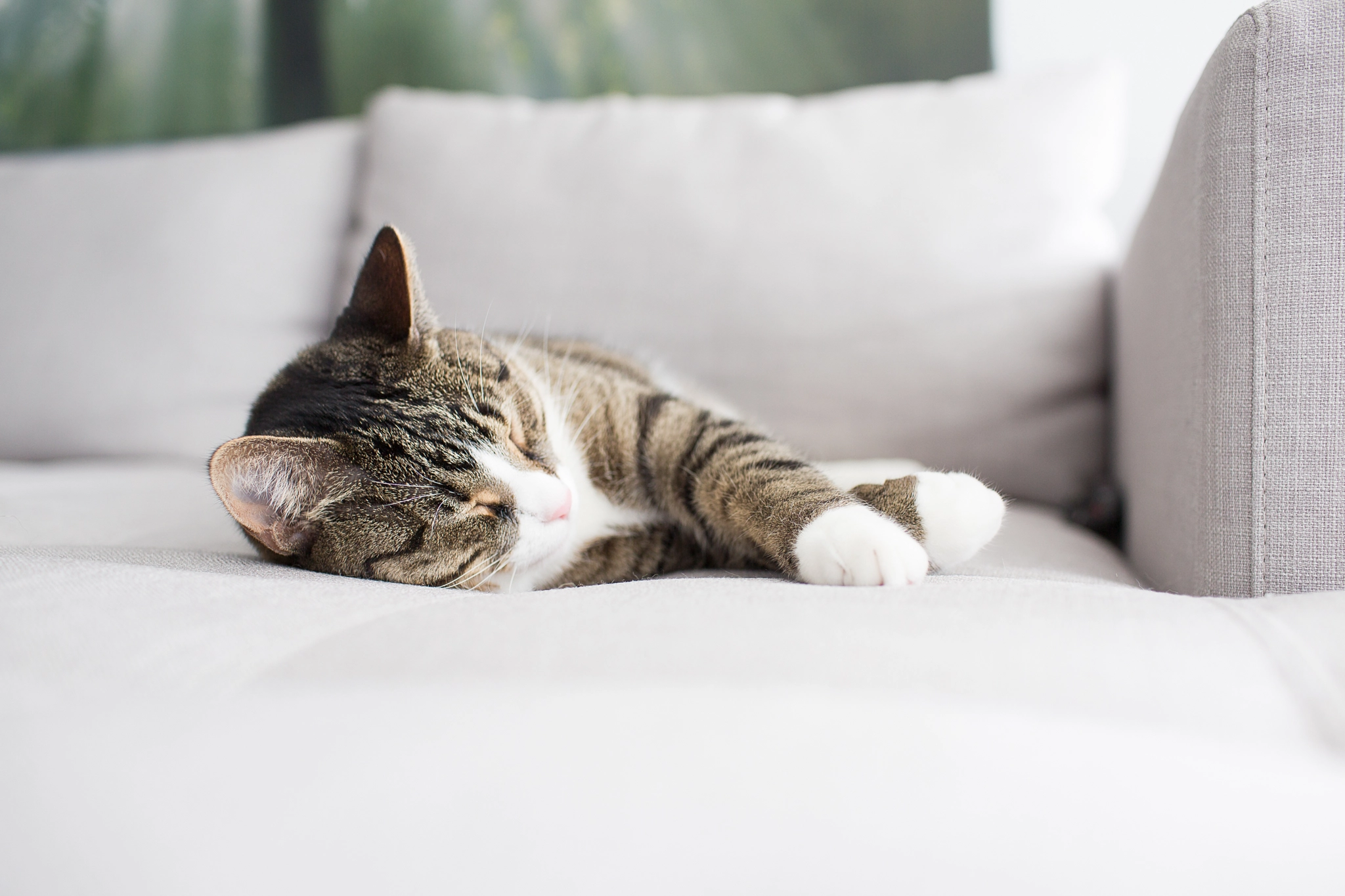 v2?sig=ba200d3a4bff851da4ac2c0cbc4d4ce591796127437a8bdfea42b140adf5e6b4