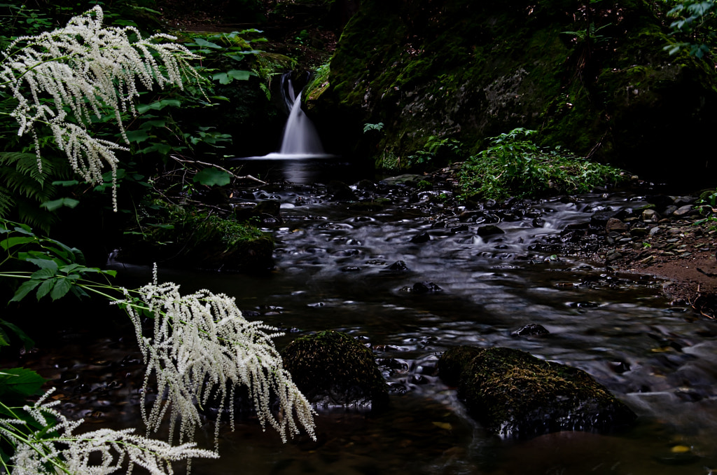 johannis by dirk derbaum on 500px.com