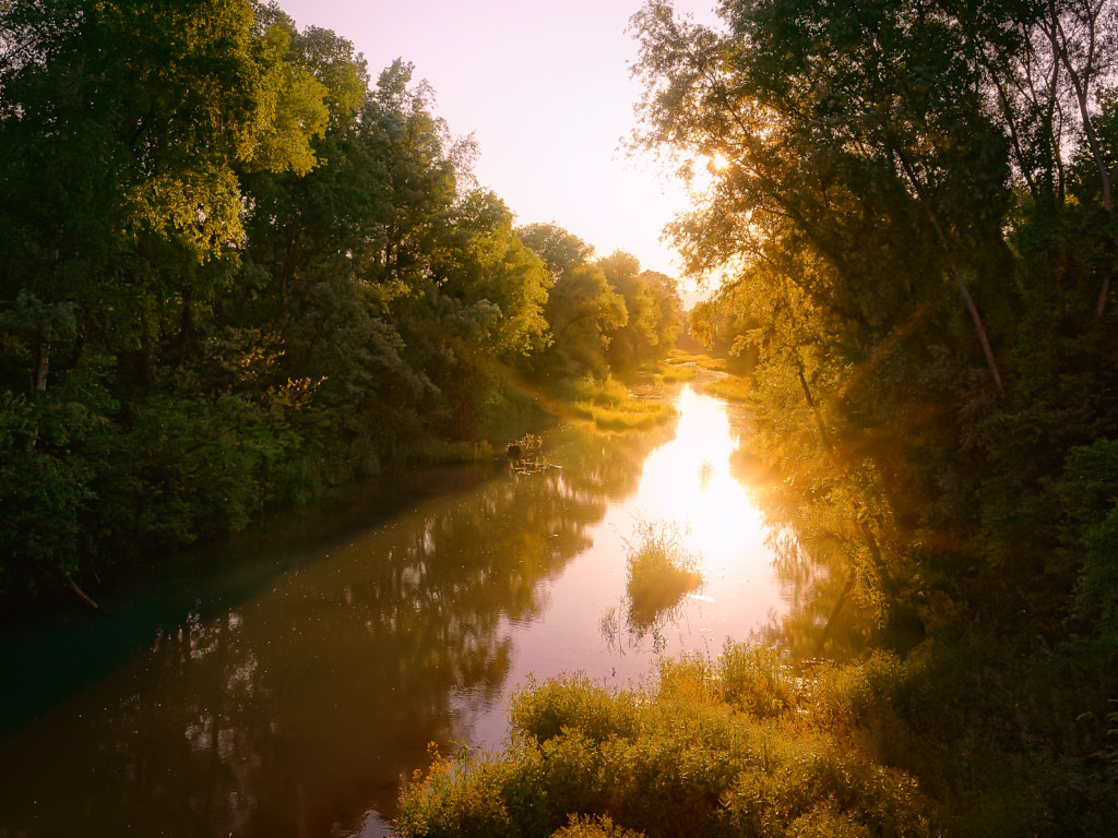 golden light at the creek by Stefan Wachter on 500px.com