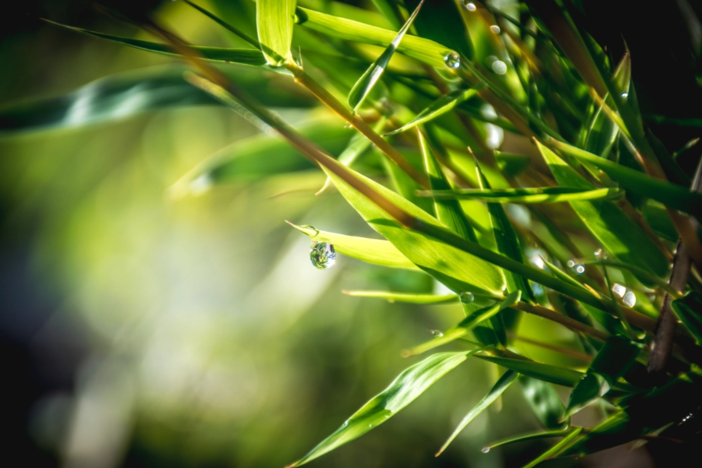 Beauty Of The Nature by L's on 500px.com