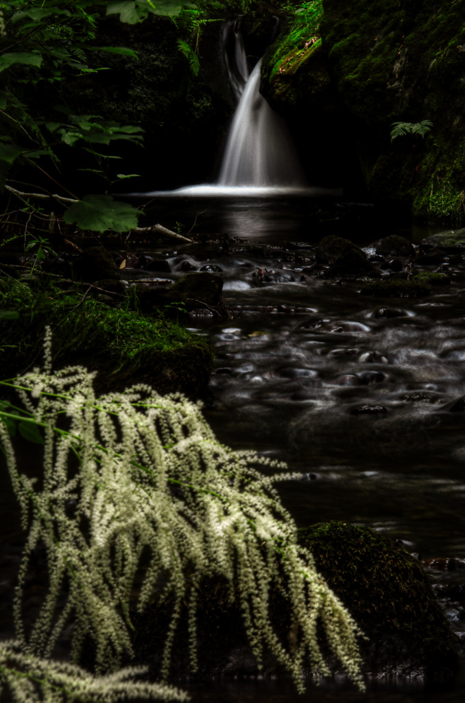 johanni by dirk derbaum on 500px.com