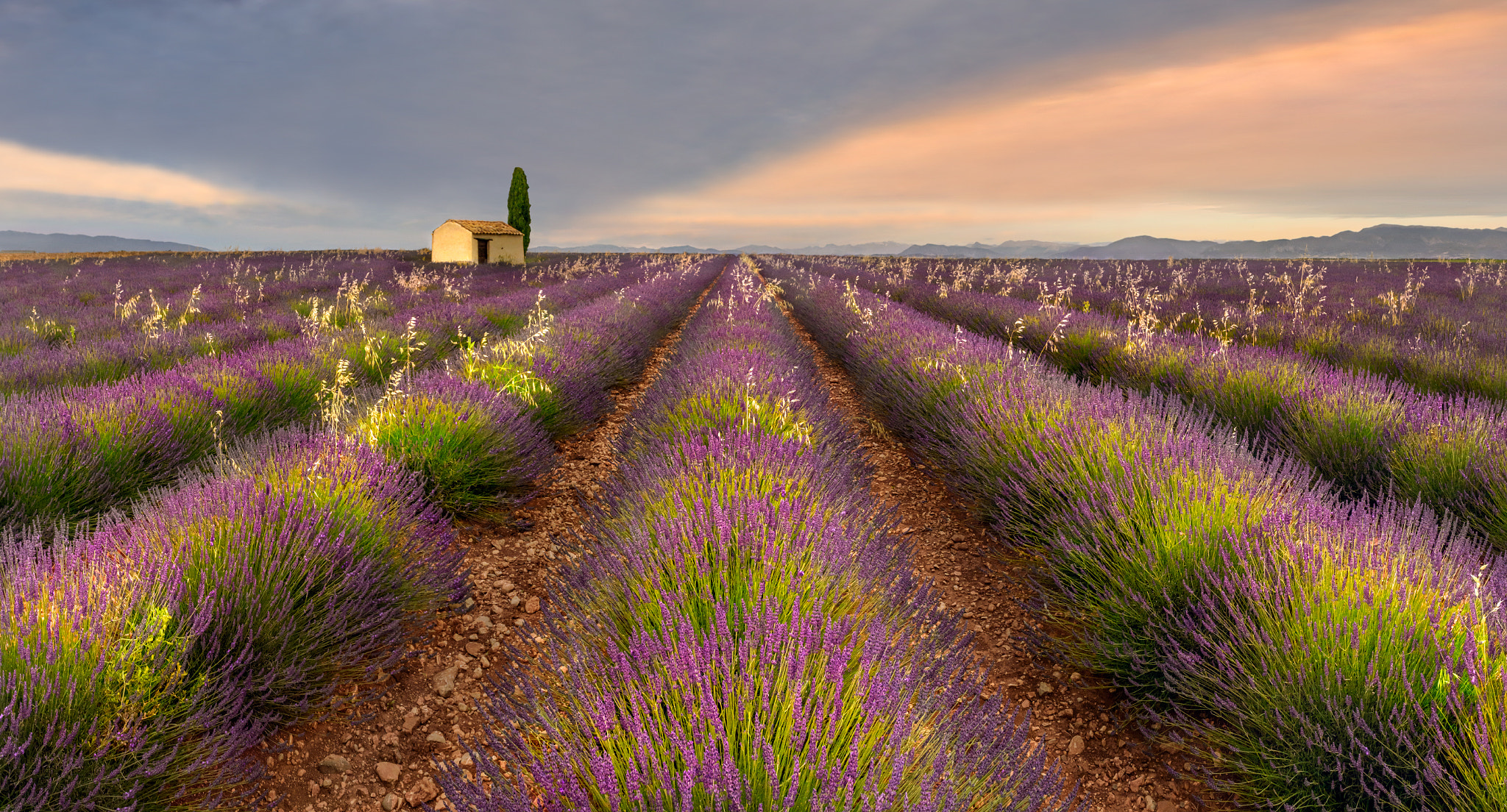 Provence