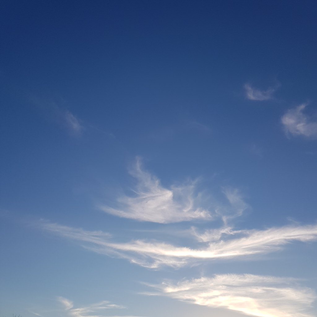Bright Cirrus by Elizabeth Fitzgerald on 500px.com