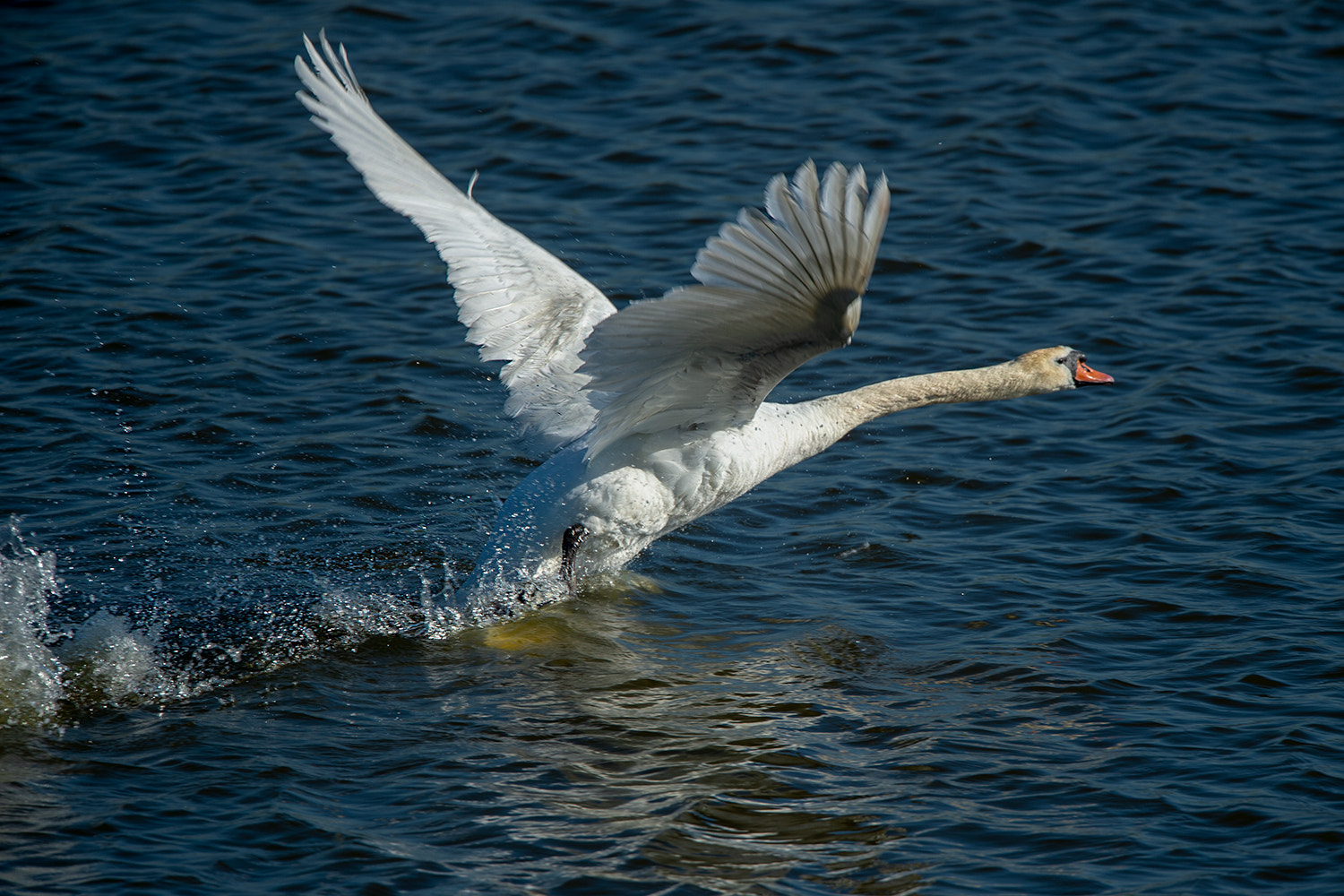 v2?sig=b64e59774584b46b836e8fa8c7e02efc834788f1187a9ca693e3b164b19266f4