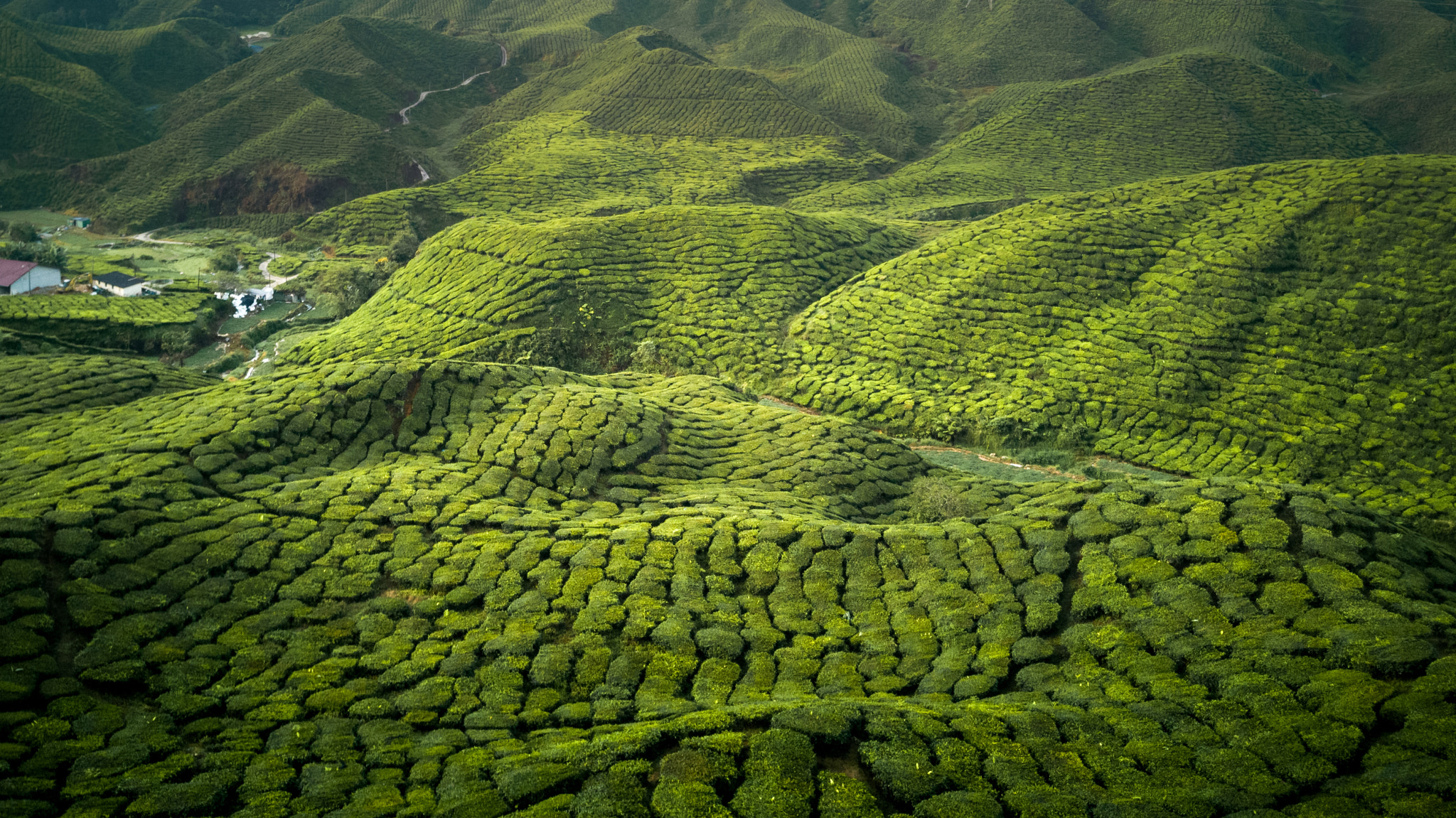 v2?sig=89f69a186e4b889d9fdea2e6bbc40f04293dc6e91a7360be4d884df79acb8754