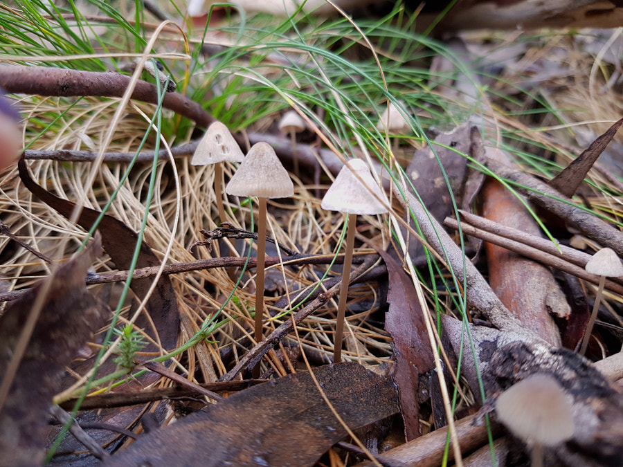 Companions by Elizabeth Fitzgerald on 500px.com