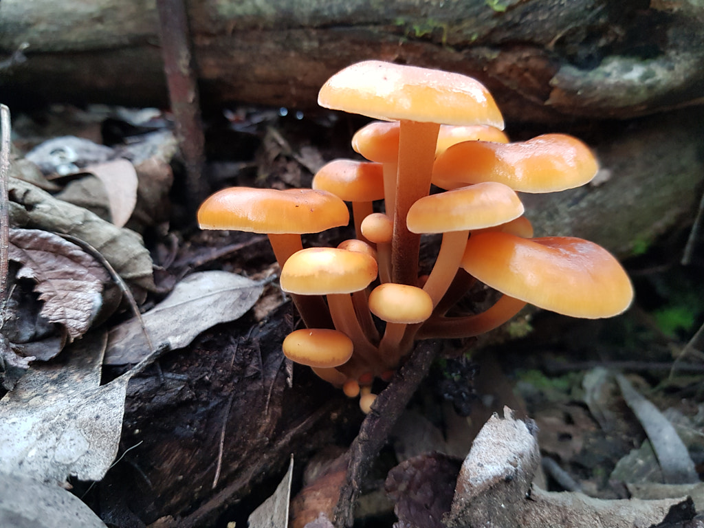 Family by Elizabeth Fitzgerald on 500px.com