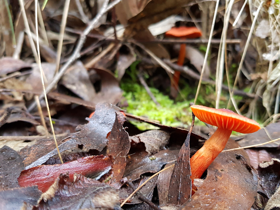 Striking Out by Elizabeth Fitzgerald on 500px.com