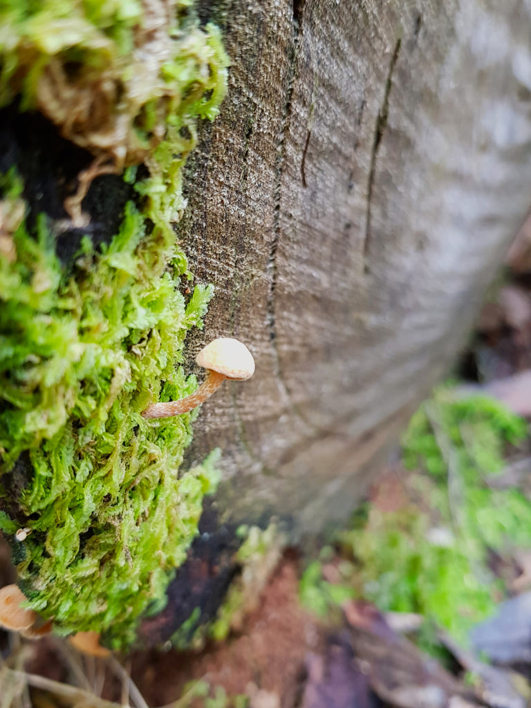 Solitary by Elizabeth Fitzgerald on 500px.com